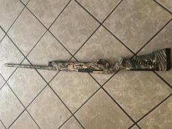 Бенелли Винчи