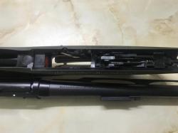 Benelli Vinci Amazonia Green