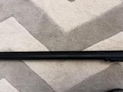 Benelli Vinci SuperSport