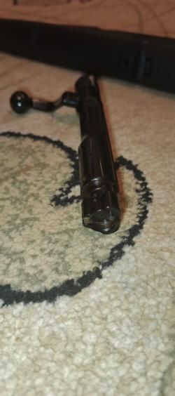 Benelli Wild 300 win mag
