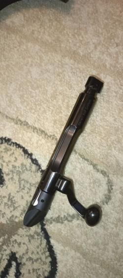Benelli Wild 300 win mag