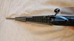 Benelli Wild 308Win 