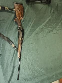 Benelli wild