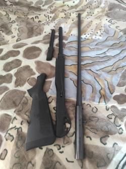 Bennelli vinci blake