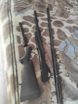 Bennelli vinci blake