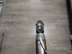 Beretta 686 Pigeon I