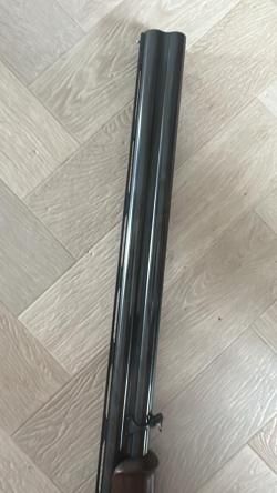 Beretta 687 EL Golb Pigeon