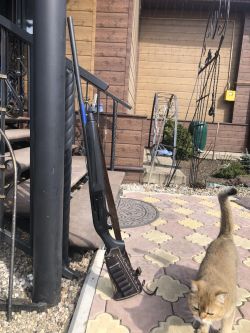 Beretta A-300 Qutlader Synthetic 12*76