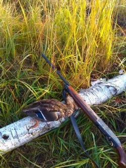 Беретта А 390