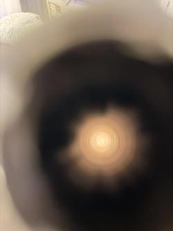 Beretta A400 Novator (Medved) 12/76, 76 OCHP