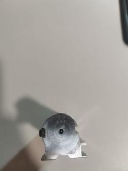 Beretta  AL 391 Urika Standard