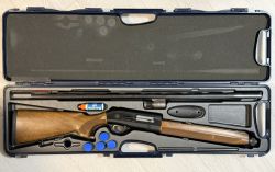 Beretta AL 391 Urika