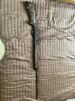 Beretta Bellmonte I mk2