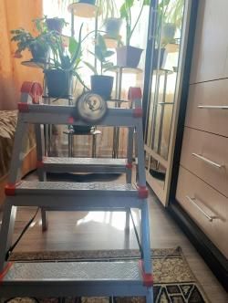 Беретта бельмонте