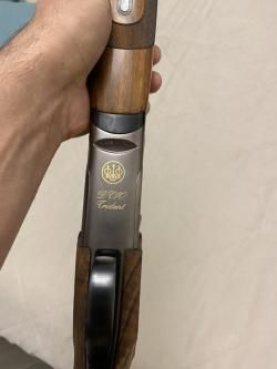 Beretta DT10