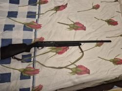 Beretta ES - 100