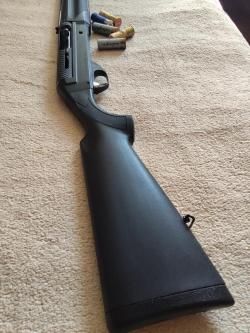 Беретта ЕS 100