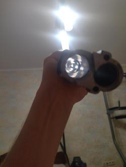 Beretta silver piegeon