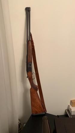 Beretta Silver Sable 