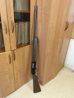 Beretta URIKA AL391