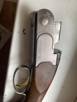 Beretta White Onyx Sporting