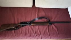 Бернарделли мега