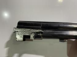 Bettinsoli delta sport 