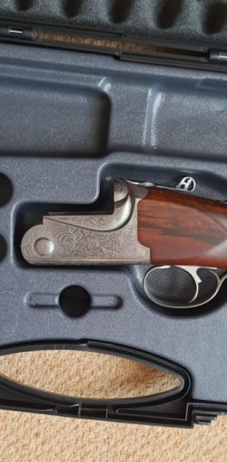 Bettinsoli Delta Sport