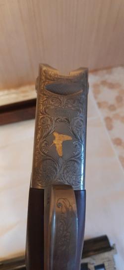 Bettinsoli Delta Sport