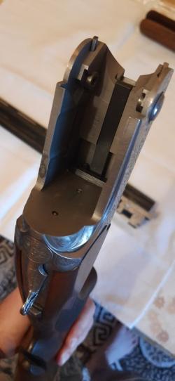 Bettinsoli Delta Sport