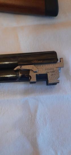 Bettinsoli Delta Sport