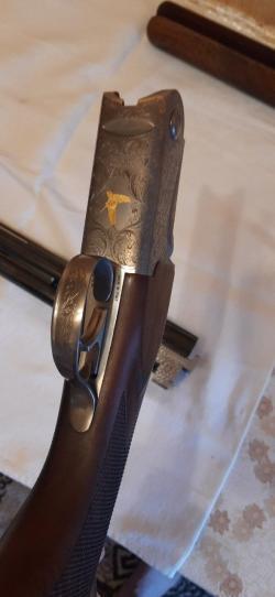 Bettinsoli Delta Sport