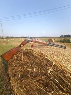 Bettinsoli X-Trail Color