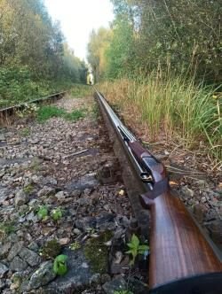 Bettinsoli X-Trail Color