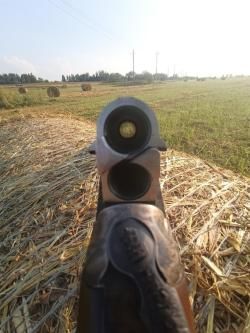 Bettinsoli X-Trail Color