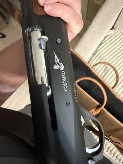 Benelli Colombo
