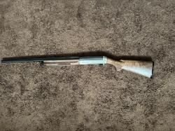 Биннелли премио