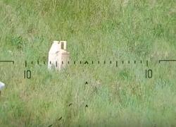 BLACK STRIKE P08 генерация 2, кал.5.5мм. редукторная с прицелом!!! 