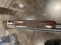 Blaser F16 game