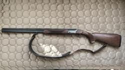 Blaser F16 Game