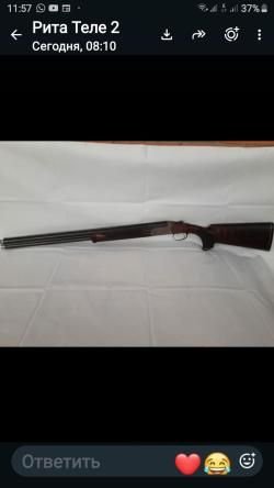 Blaser F3 Game