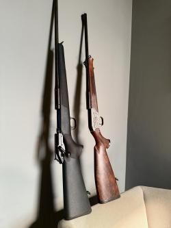 Blaser R 93 30-06  и 223