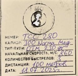 Blaser r8, 300 norma magnum,