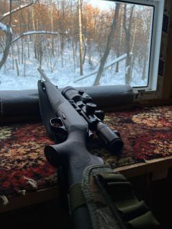 Blaser r8 308 кал.