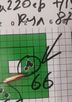 Blaser R8 Carbon Success