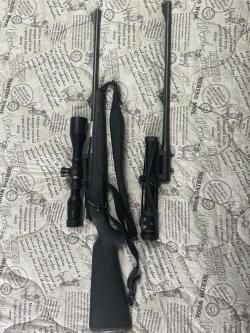 Blaser R8, кал 30-06, доп ствол 223 Rem