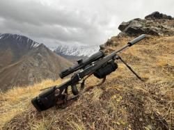  Blaser R8. Карабин AT R8 