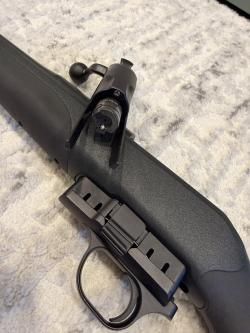 Blaser R8 Professional 223rem