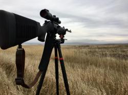 Blaser R8 Professional cal. 308Win с оптикой