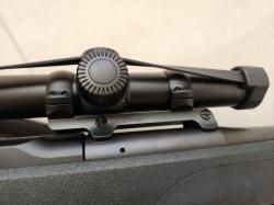 Blaser R8 Professional Success